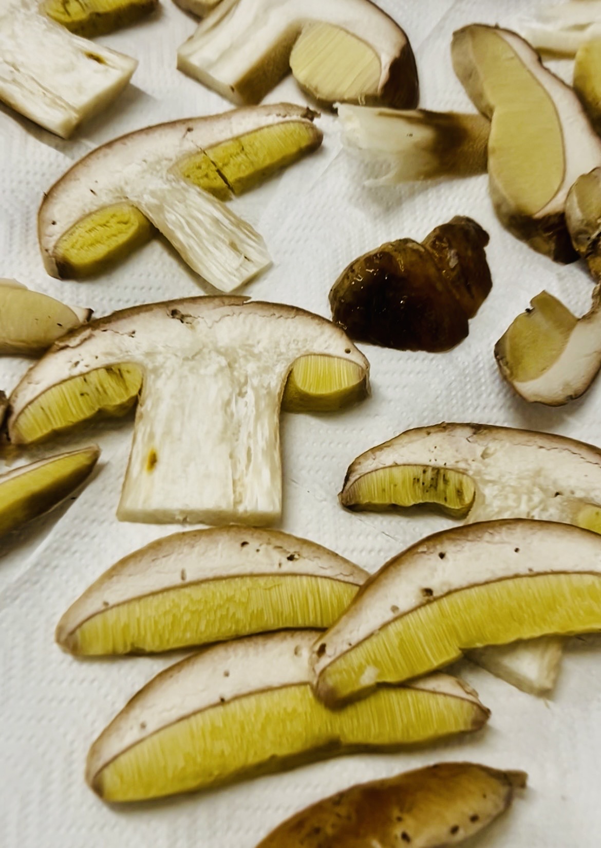 ristorante_parma_funghi